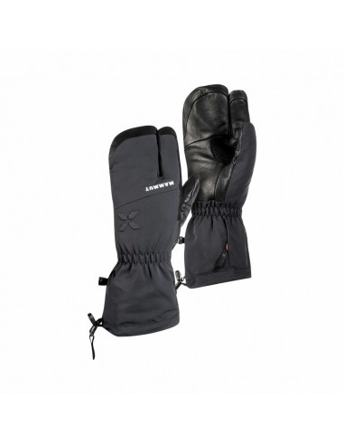 Mammut Handschuh Eigerjoch Pro Glove