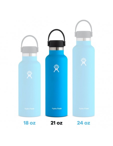 Hydro Flask 21 Oz Lupine Water Bottle - S21SX474