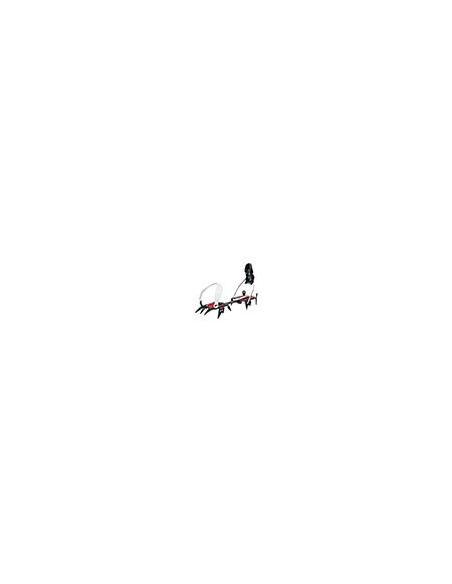 AustriAlpin Steigeisen SkyWalk 10-Zack von AustriAlpin